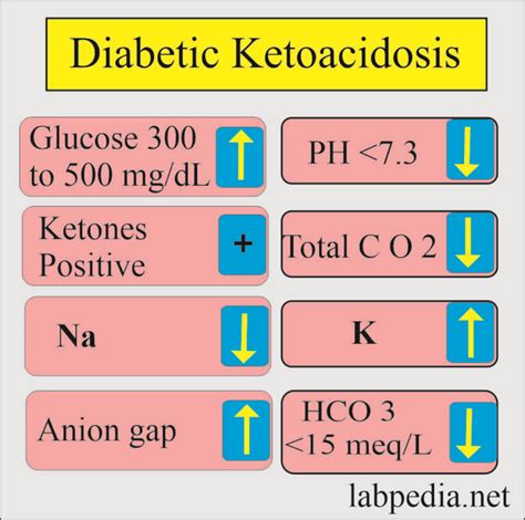 diabetic ketoacidosis workup|Diabetic Ketoacidosis (DKA) Workup .